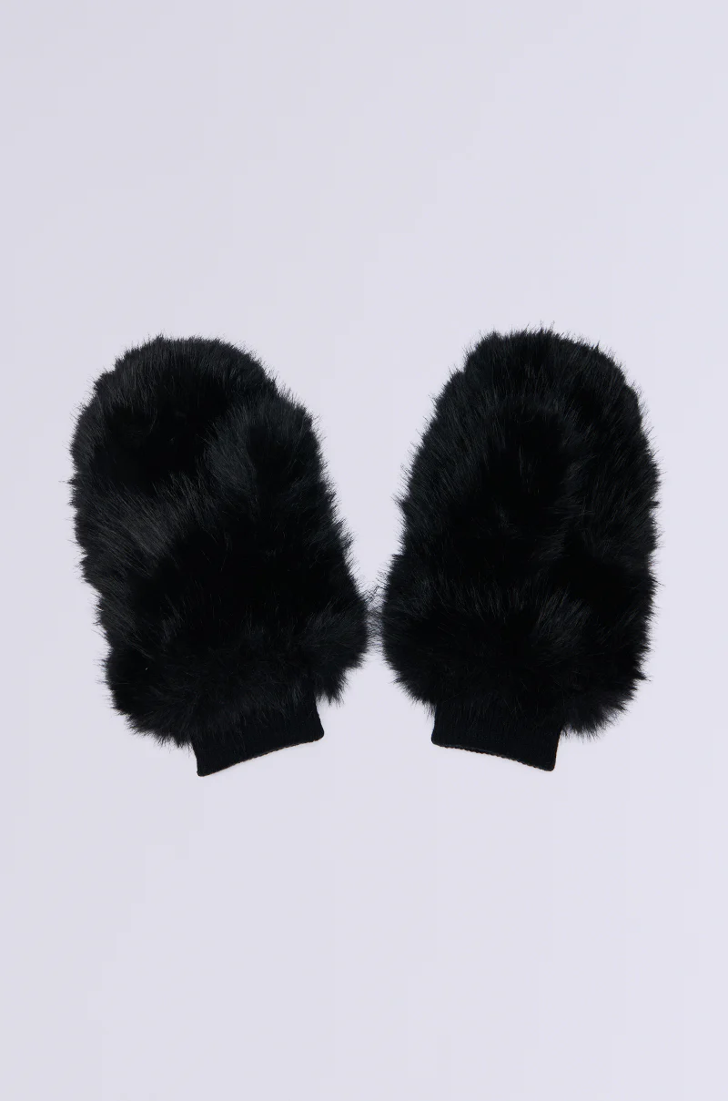 ALL ABOUT THE MONEY FUR MITTENS - Image 3