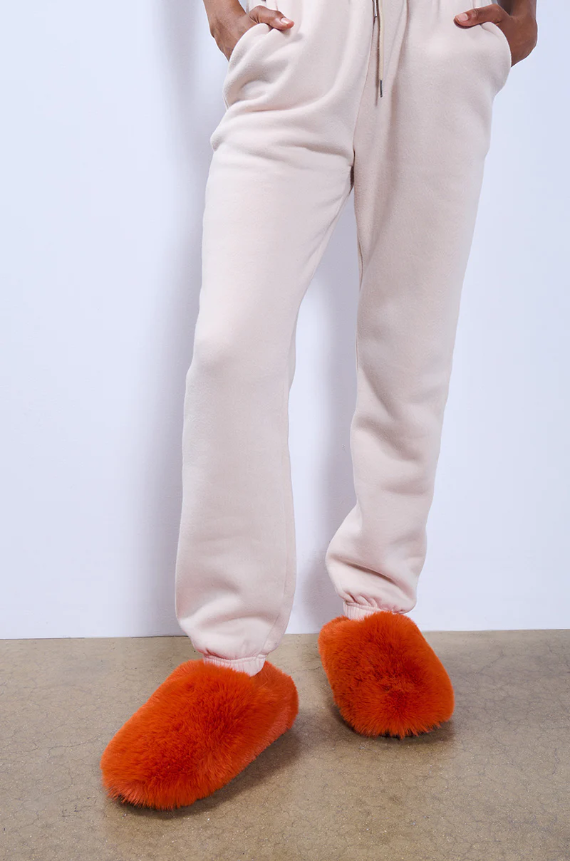 AZALEA WANG WHIRLWIND ORANGE FLAT - Image 2
