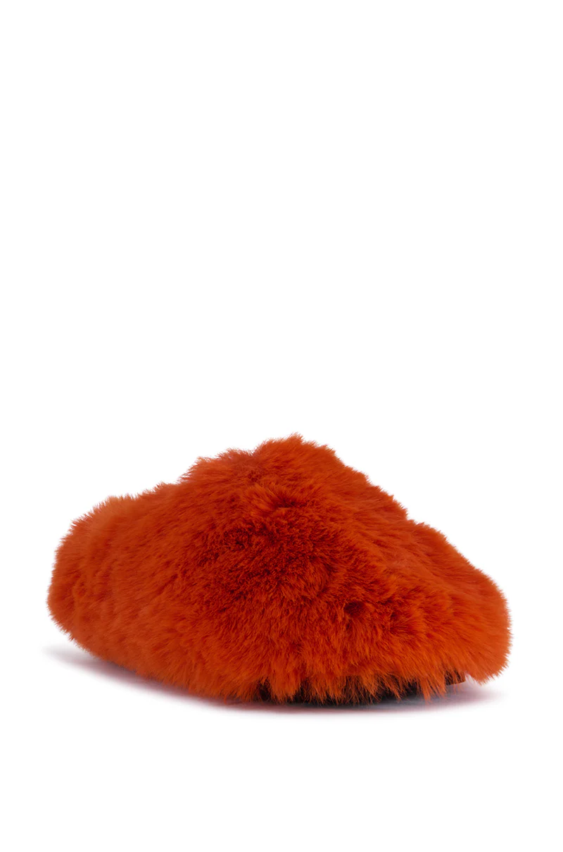 AZALEA WANG WHIRLWIND ORANGE FLAT - Image 4