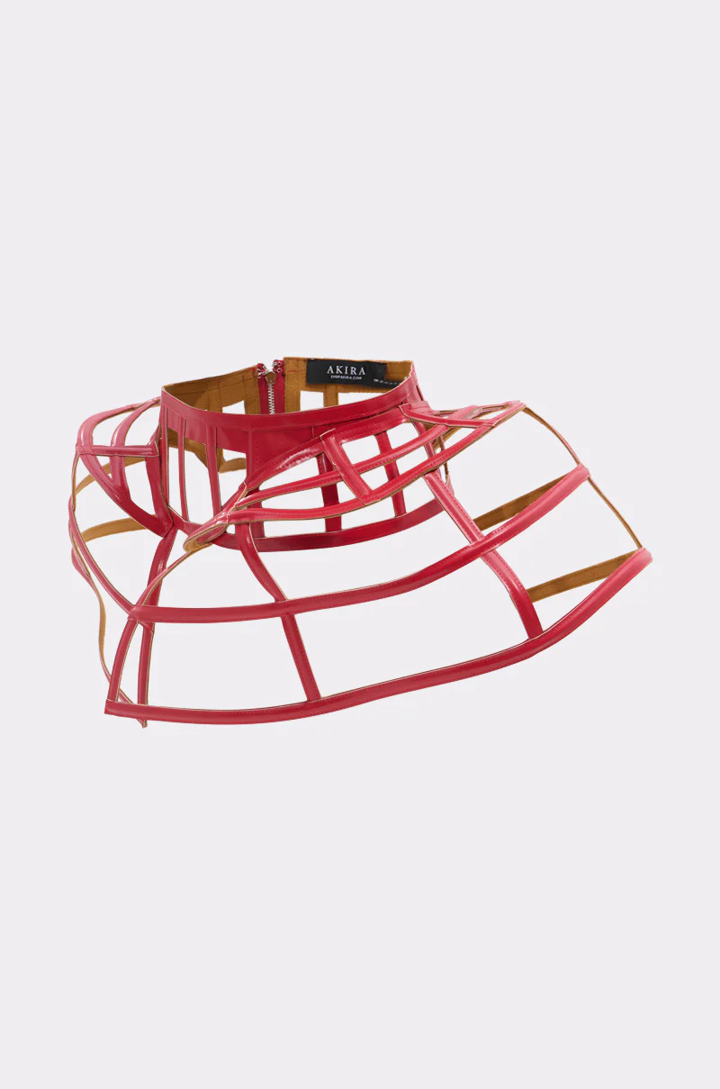 BACK UP CAGE BELT - Image 12