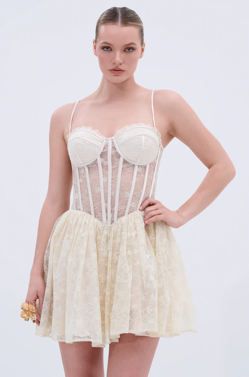BRUNCHIN LACE MINI DRESS - Image 4