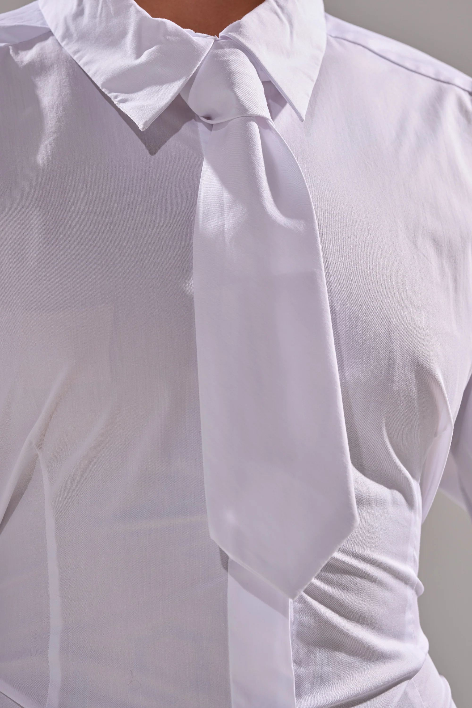 BUSINESS BUTTON DOWN - Image 12