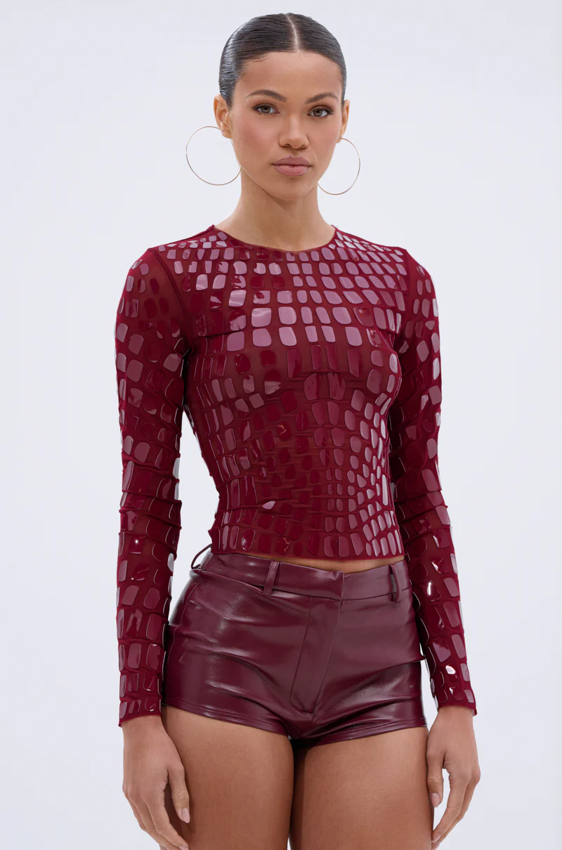 CAN SEE RIGHT THROUGH YOU MESH LONG SLEEVE TOP - Image 3