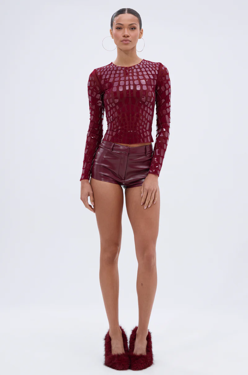 CAN SEE RIGHT THROUGH YOU MESH LONG SLEEVE TOP - Image 7