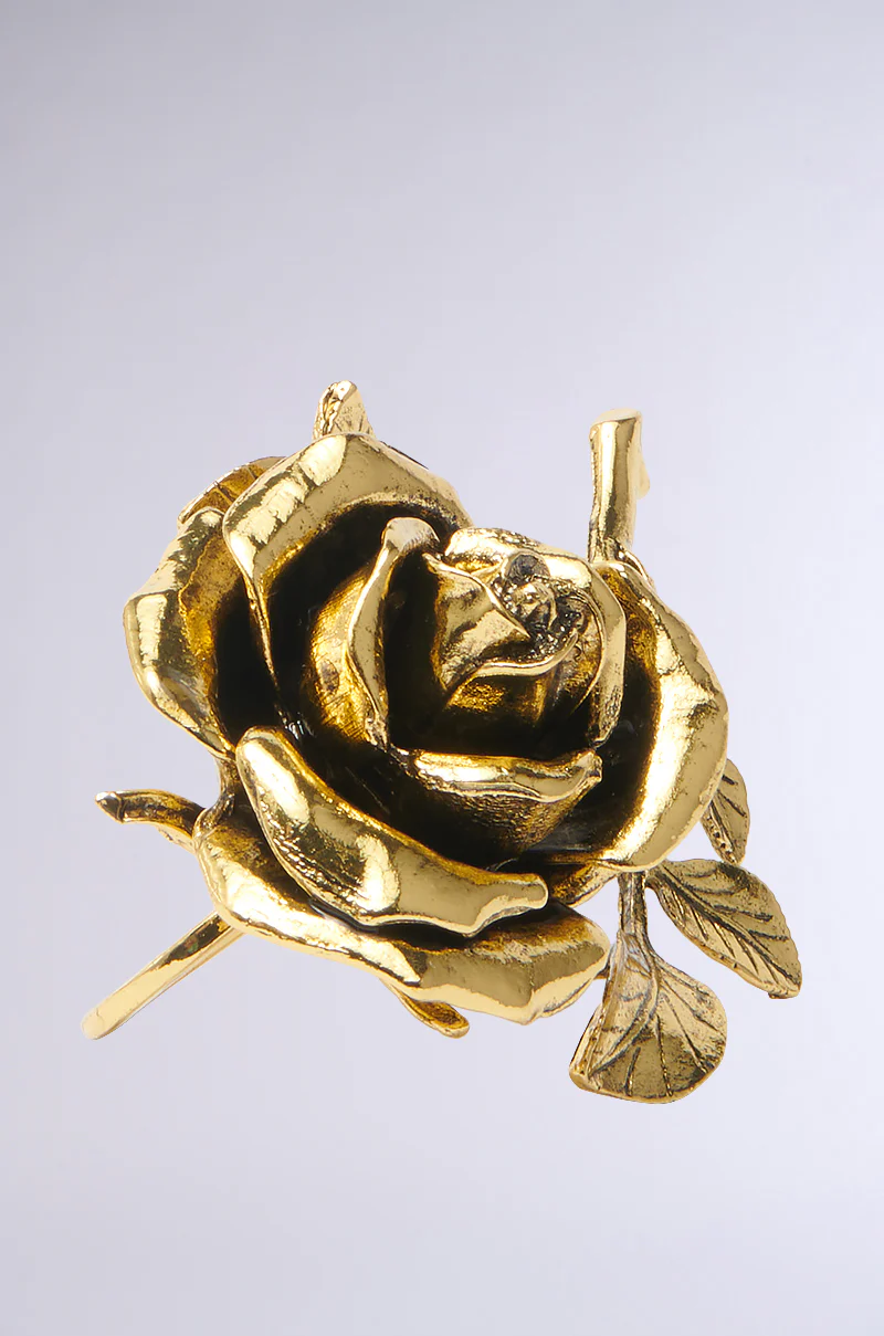 COME TO THE GARDEN RING - Image 4