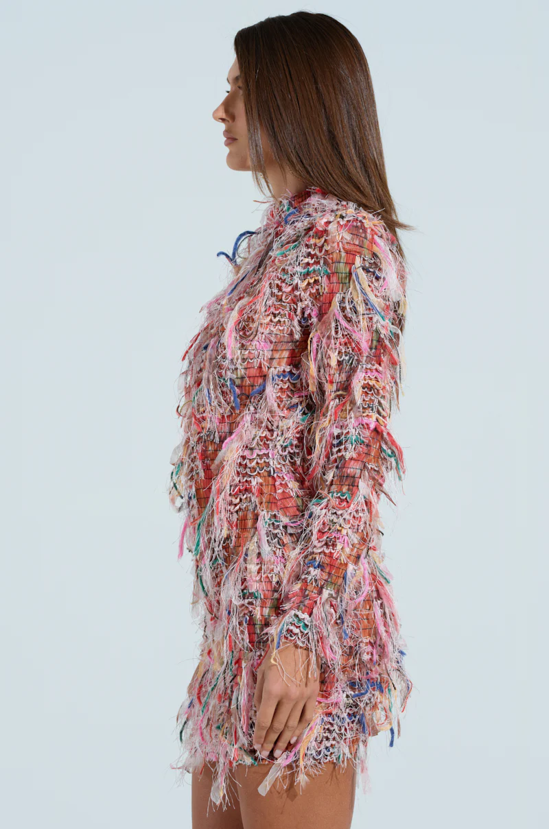 DAYDREAMING FRINGE MINI DRESS - Image 4