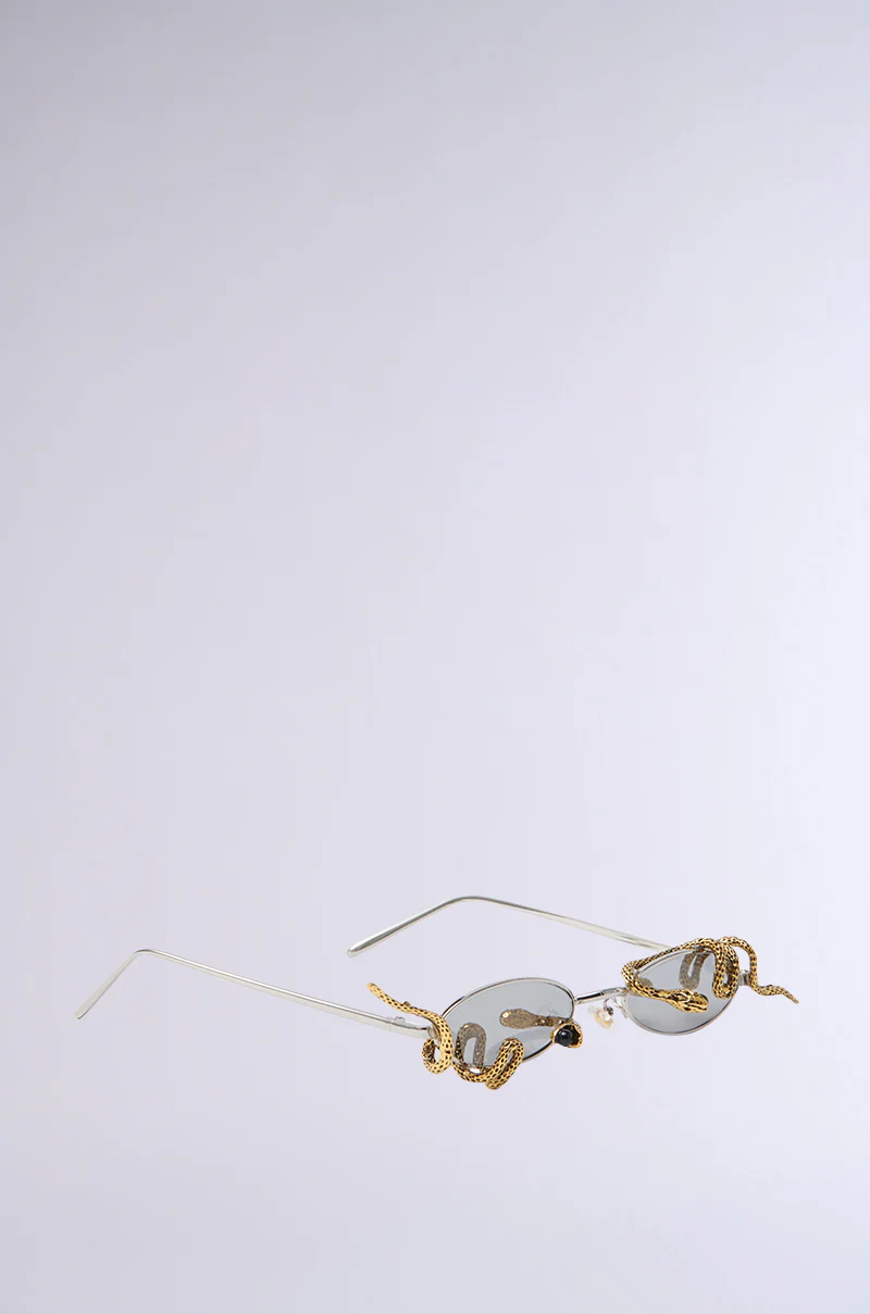 DONT BE A SNAKE SUNGLASSES - Image 4