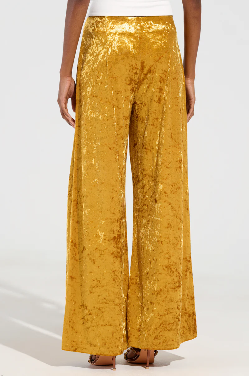 DRIPPING IN GOLD CRUSHED VELVET TROUSER - Image 4