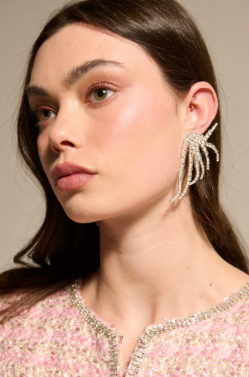 IN MY ZONE SILVER EARRING - Image 6