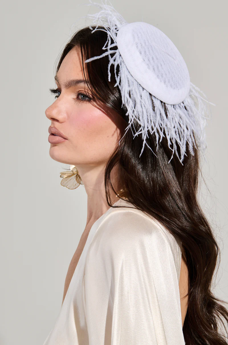 FEATHER FAN CLIP ON HAT