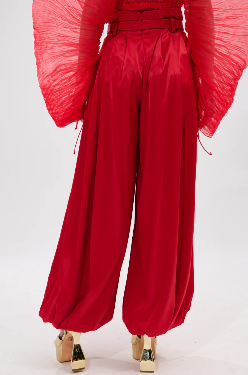FORTUNE'S FAVORITE SATIN BELTED BALLOON PANT IN RED - Image 5