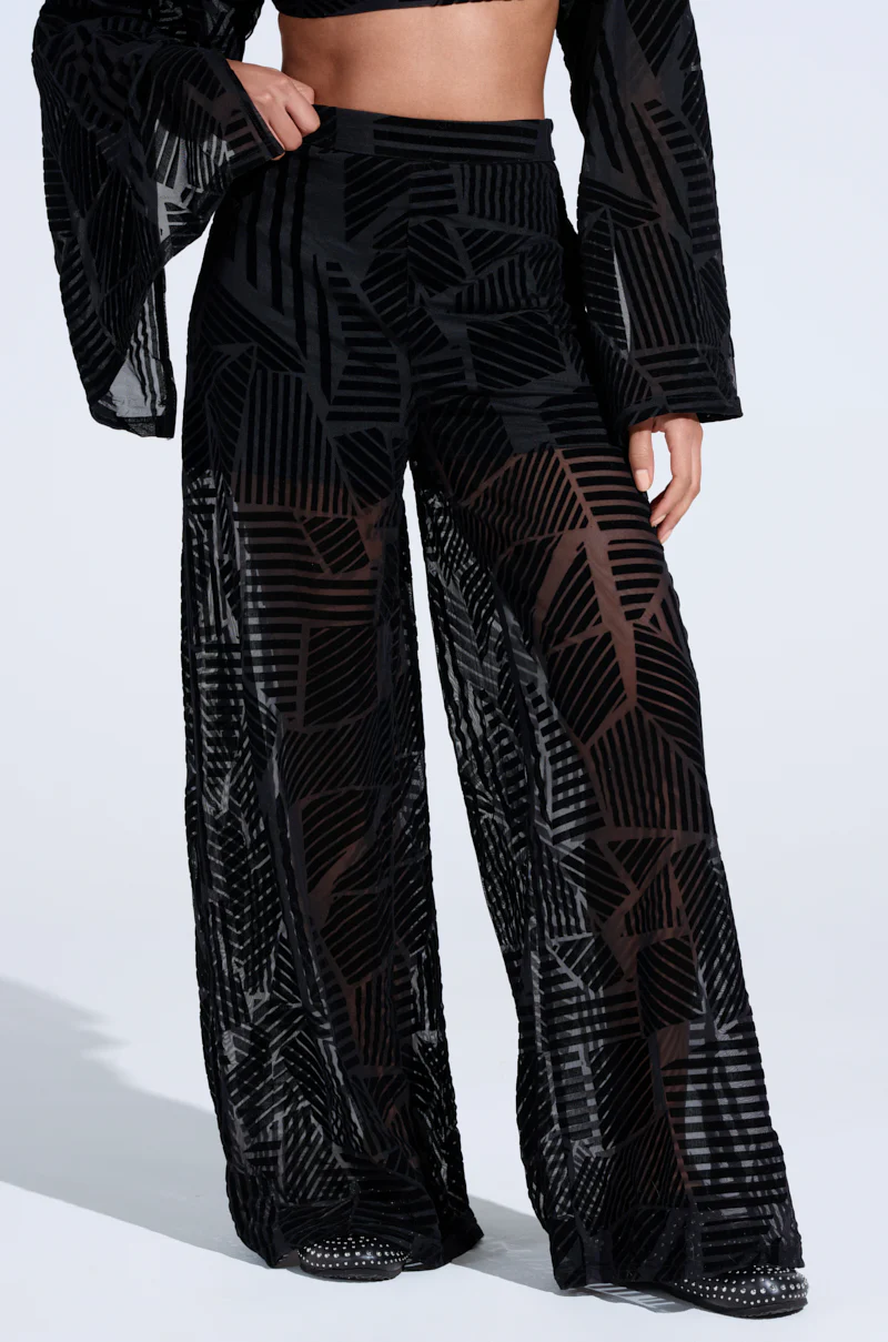 HAVING REGRETS ABOUT YOU SEE THROUGH PALAZZO PANT - Image 2