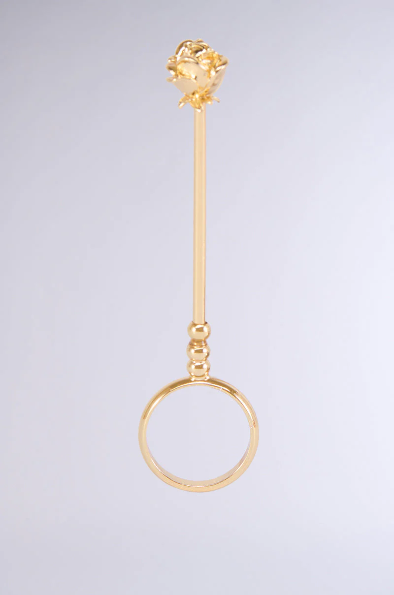HOLD IT RING IN GOLD - Image 4