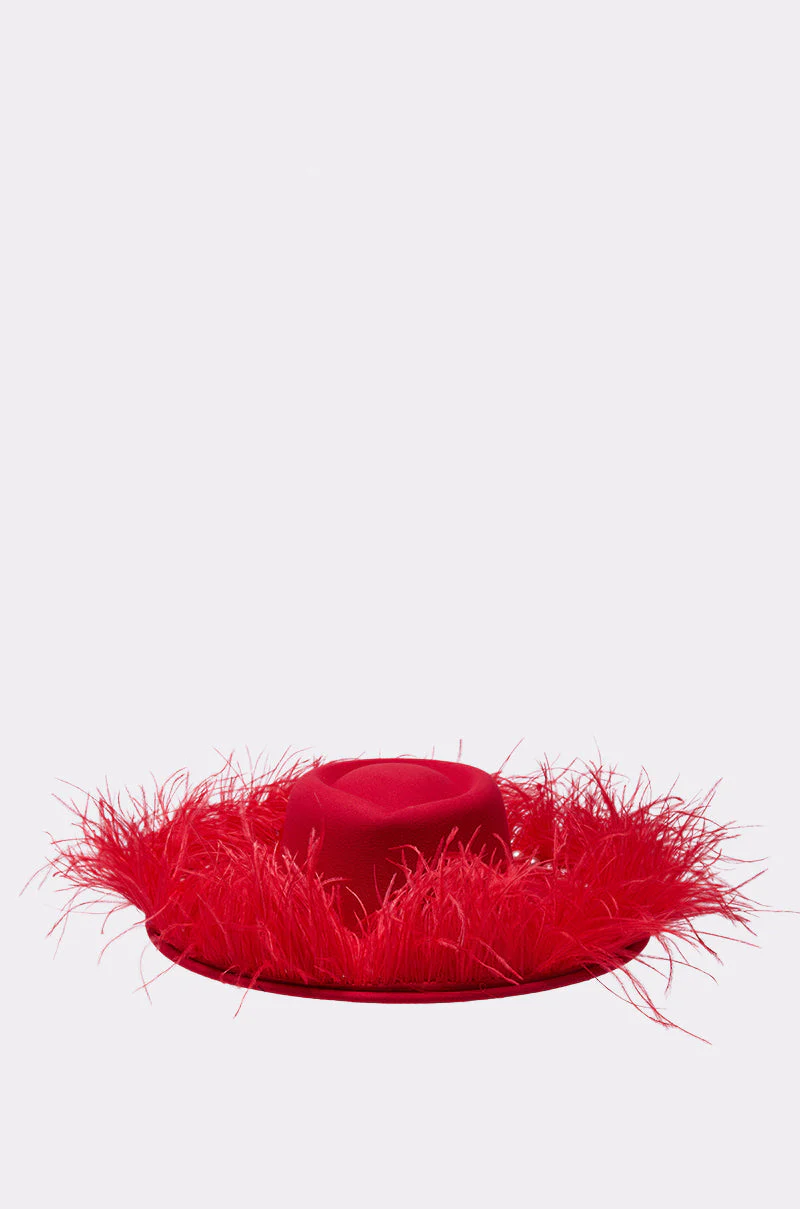 LETS FLIRT FEATHER BRIM HAT - Image 2
