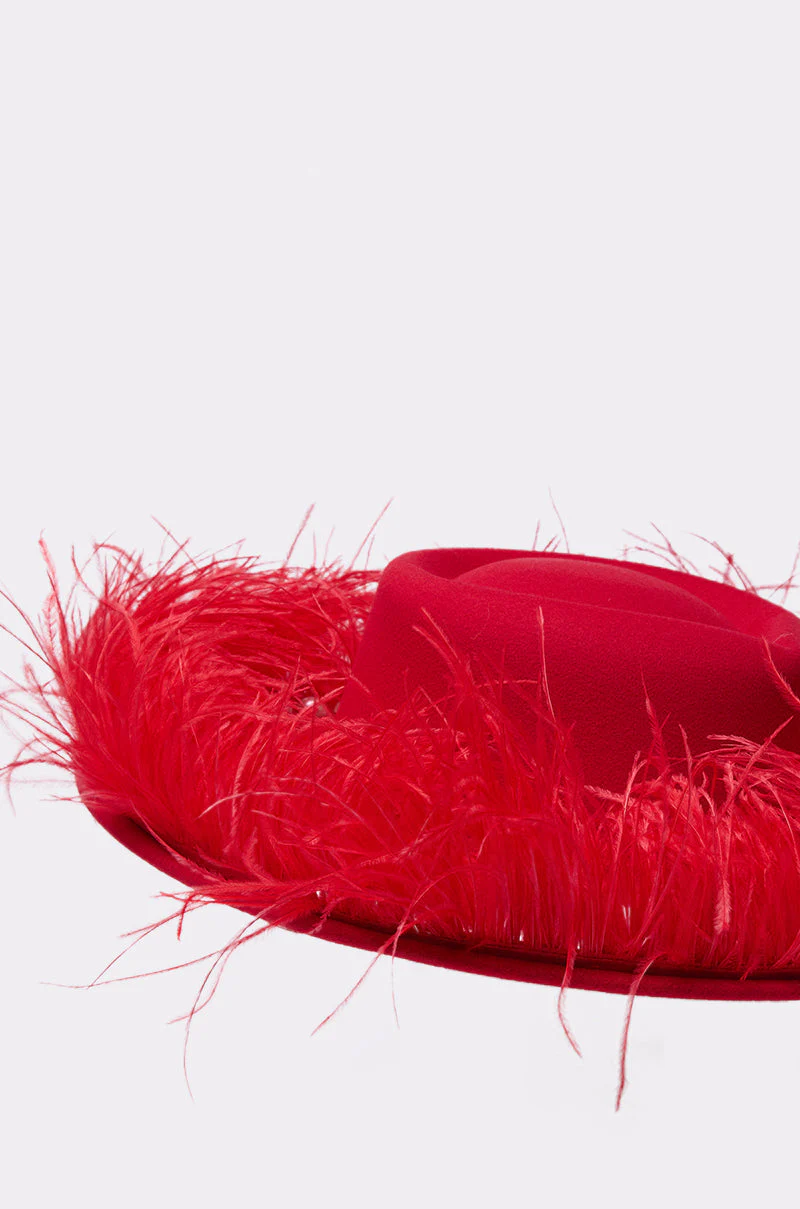 LETS FLIRT FEATHER BRIM HAT - Image 4