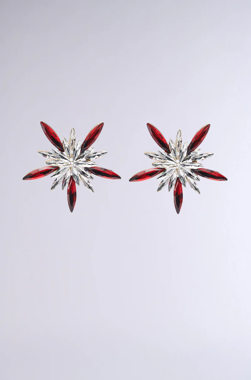 MAIN CHARACTER EARRING - Image 2