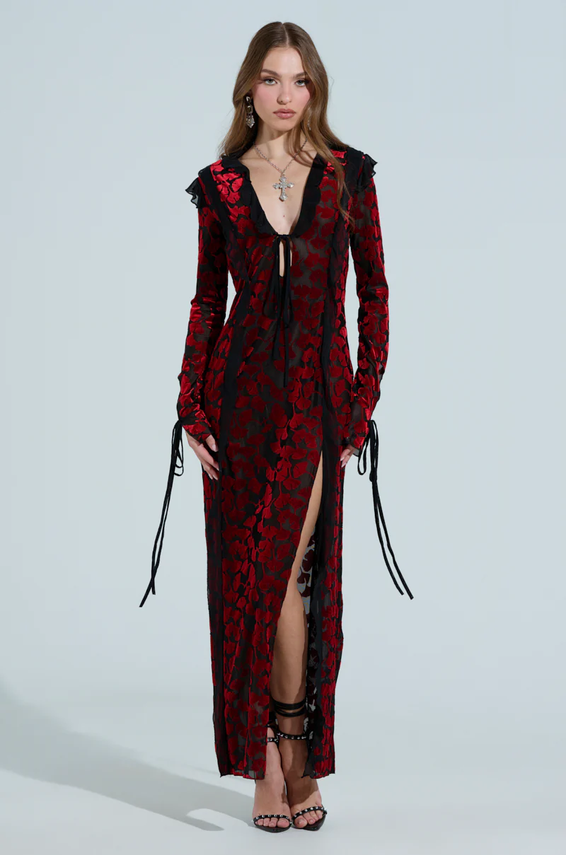 MAKE A WISH VELVET MAXI DRESS - Image 2