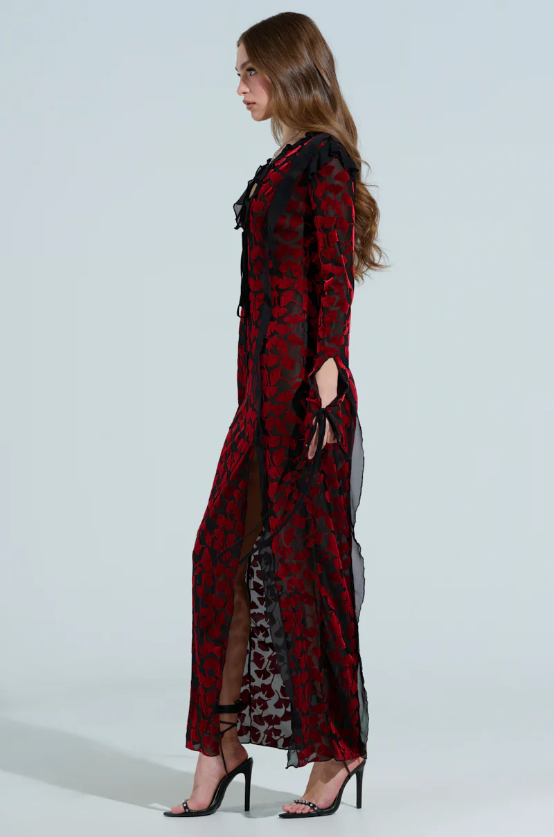 MAKE A WISH VELVET MAXI DRESS - Image 3