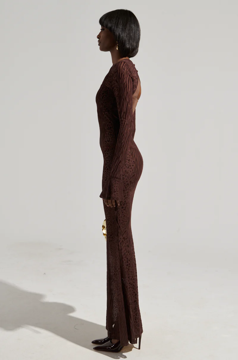 MY GOOD SIDE LEOPARD MESH MAXI DRESS IN BROWN - Image 2