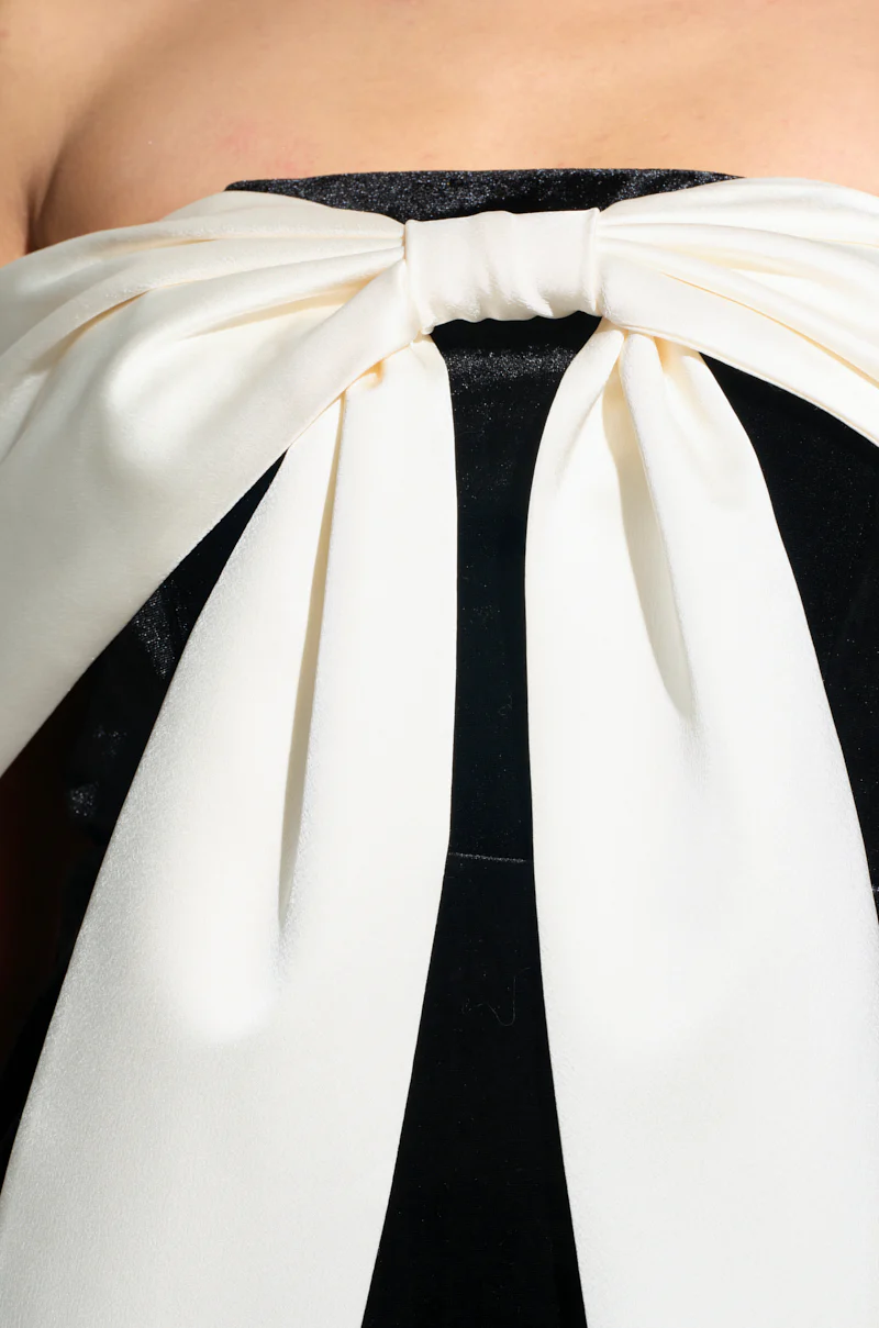 MY PRESENCE IS A PRESENT VELVET MINI DRESS - Image 7