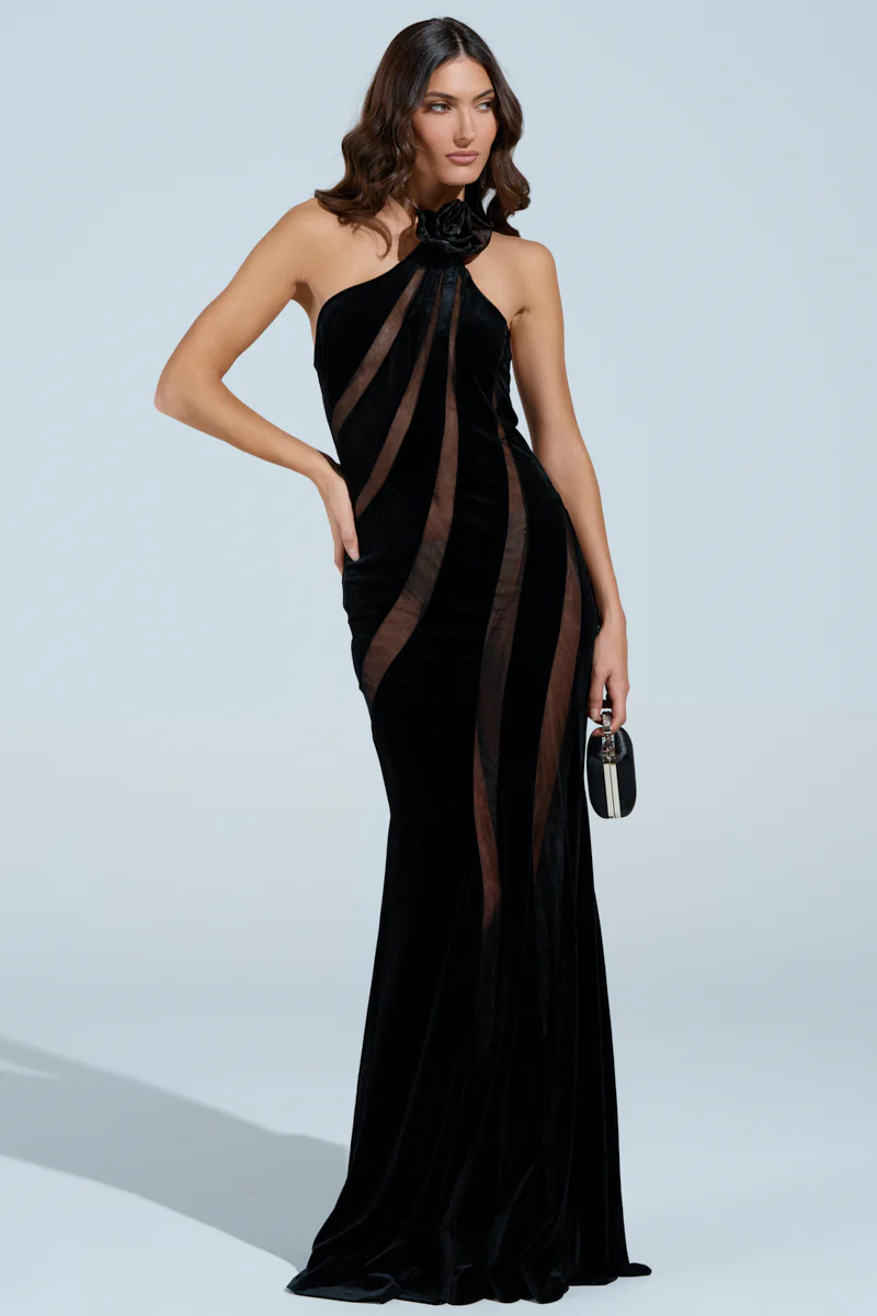 SEE THROUGH ME MAXI DRESS - Image 3