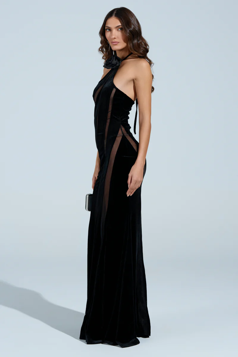 SEE THROUGH ME MAXI DRESS - Image 4