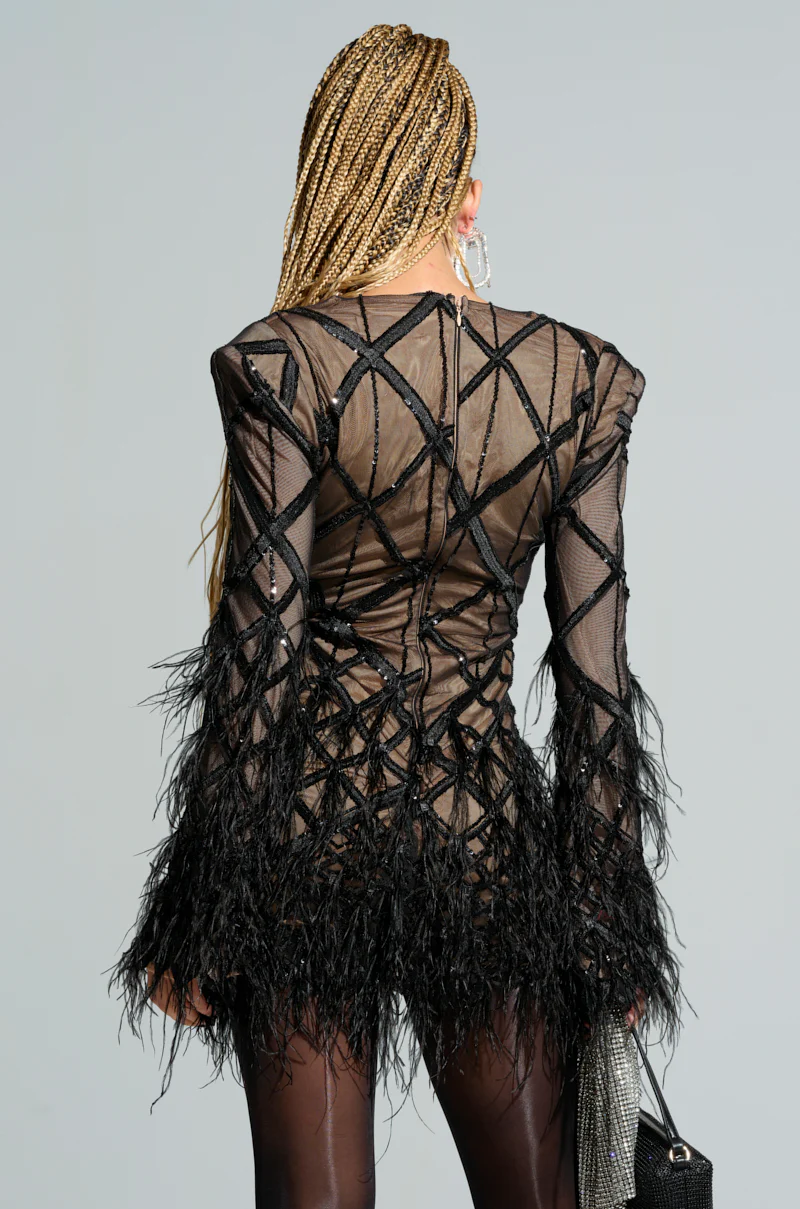 SHOW ME A GOOD TIME MESH MINI DRESS - Image 3