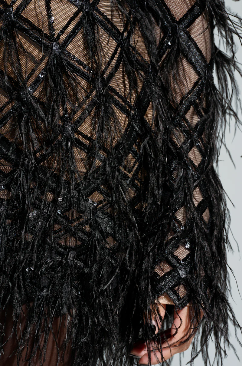 SHOW ME A GOOD TIME MESH MINI DRESS - Image 6