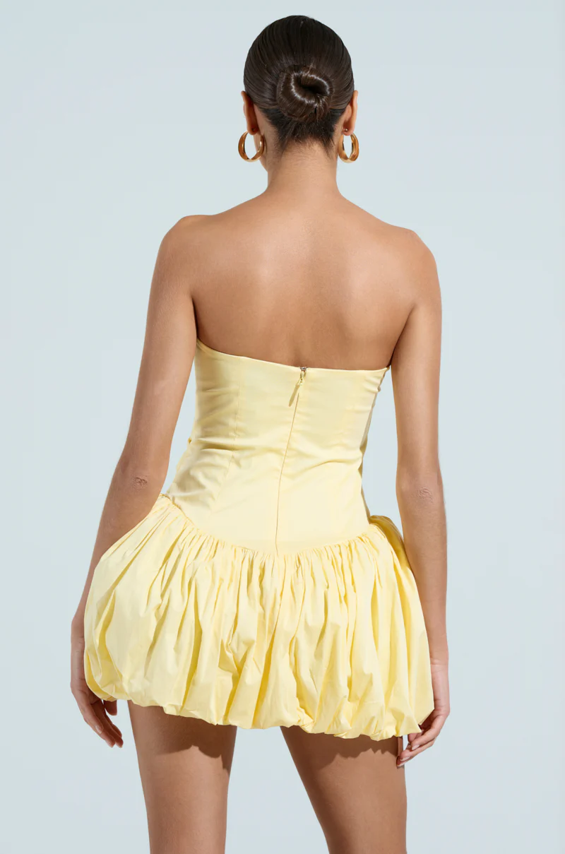 SPRING IS IN THE AIR POPLIN MINI DRESS - Image 4