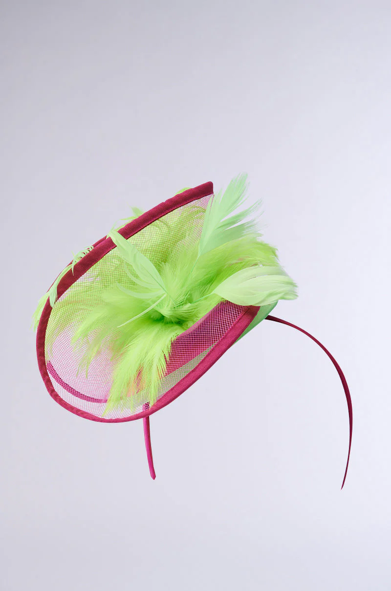 TO THE DERB FASCINATOR - Image 3
